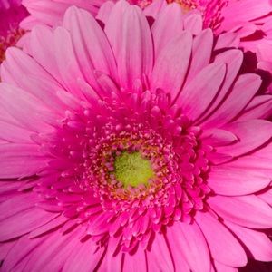 Meet your Posher, Tarren